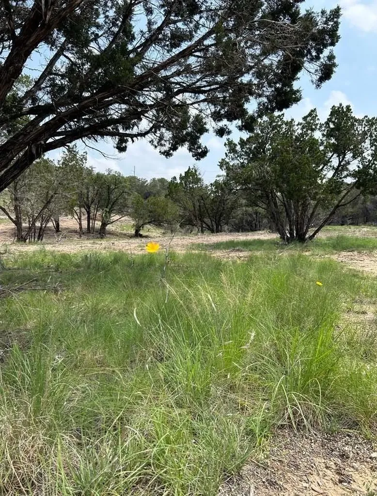 Tbd Old Red Ranch Road Dripping Springs TX 78620