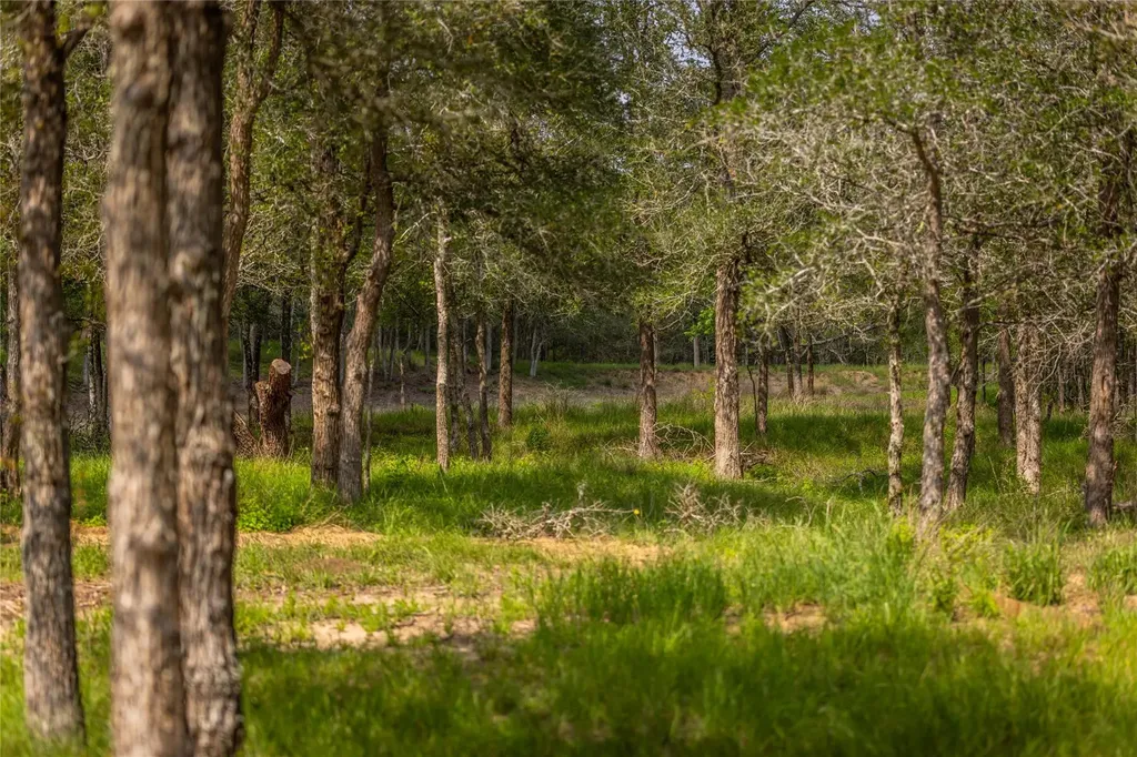 4082 Old Colony Line Road Lockhart TX 78643
