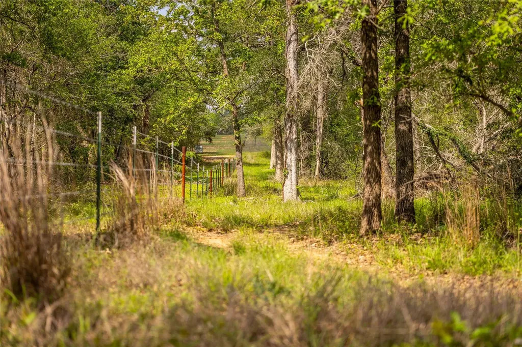 4082 Old Colony Line Road Lockhart TX 78643