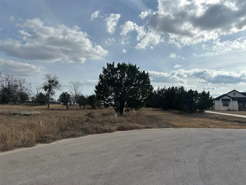 340 Joya Drive Liberty Hill TX 78642