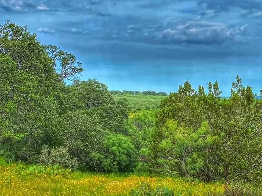 0000 Cr 296 Richland Springs TX 78761
