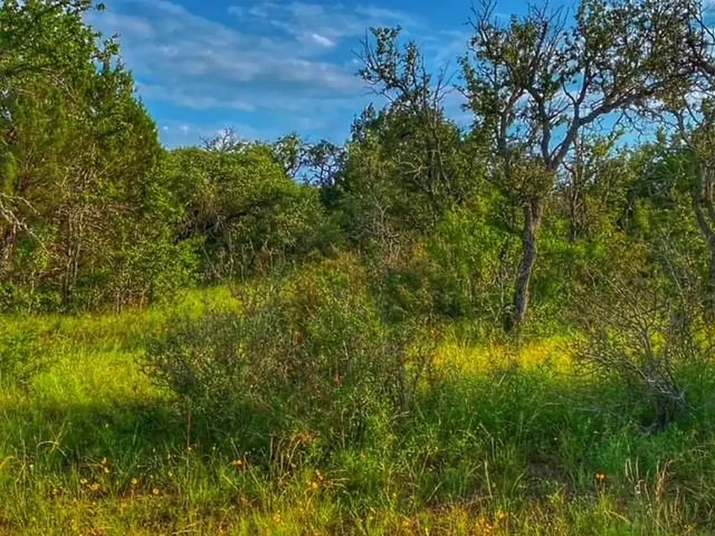 0000 Cr 296 Richland Springs TX 78761