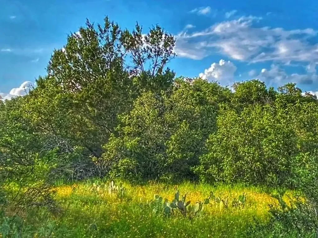 0000 Cr 296 Richland Springs TX 78761