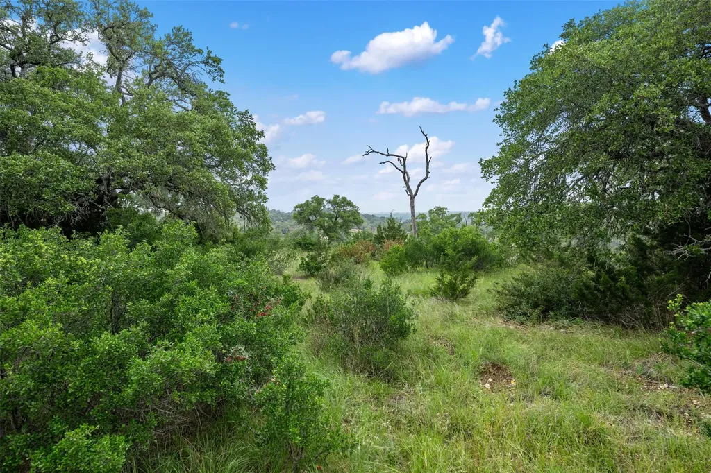 155 Crosswater Lane Dripping Springs TX 78620
