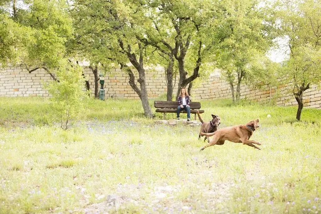 18504 Tanner Bayou Loop Austin TX 78738