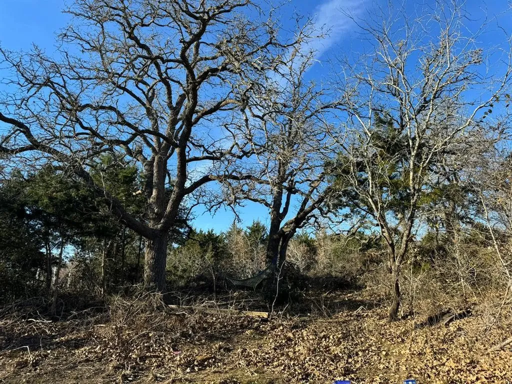 8405 Taylorsville Road Dale TX 78616