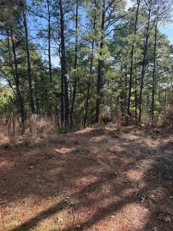 106 Llio Court Bastrop TX 78602