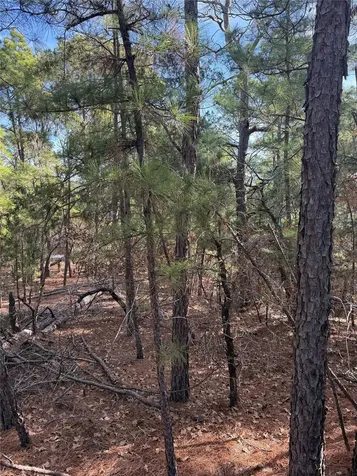 106 Llio Court Bastrop TX 78602