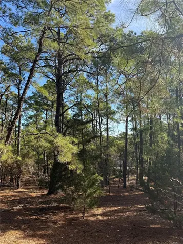 106 Llio Court Bastrop TX 78602