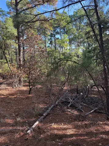 106 Llio Court Bastrop TX 78602