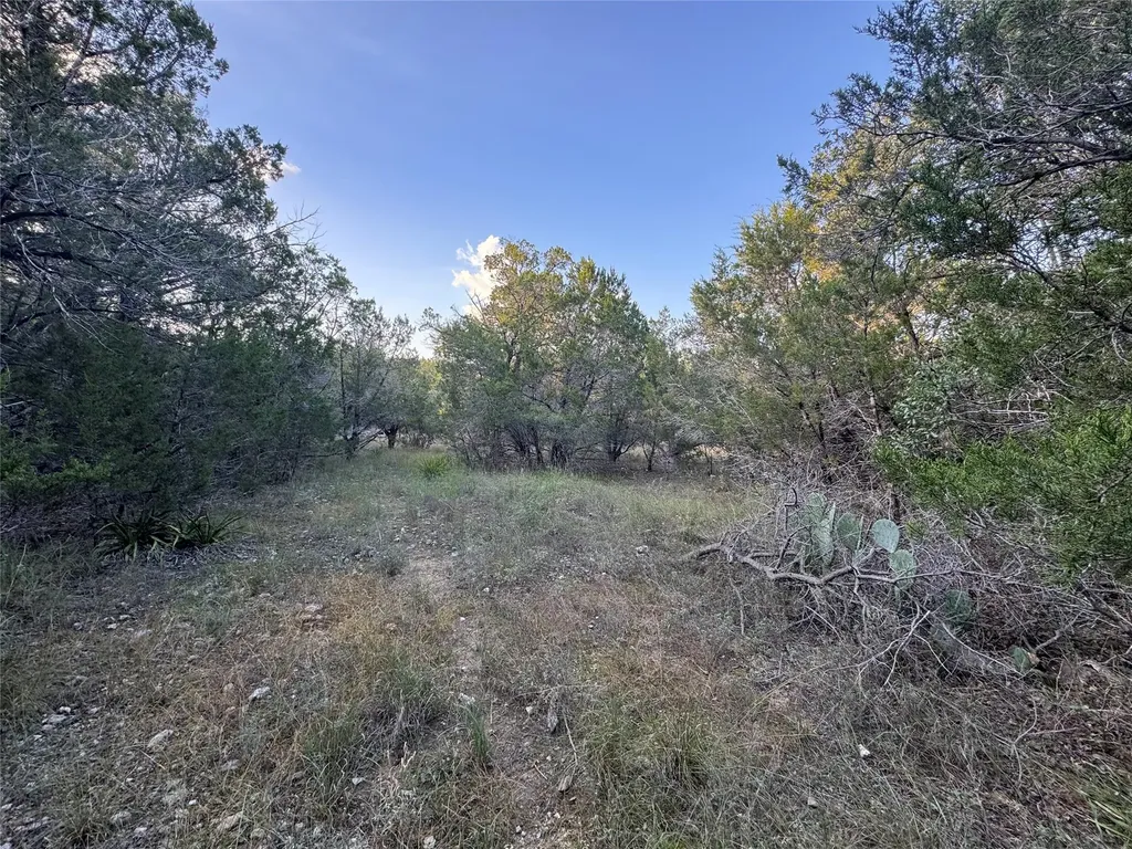918 Debco Lane Spicewood TX 78669