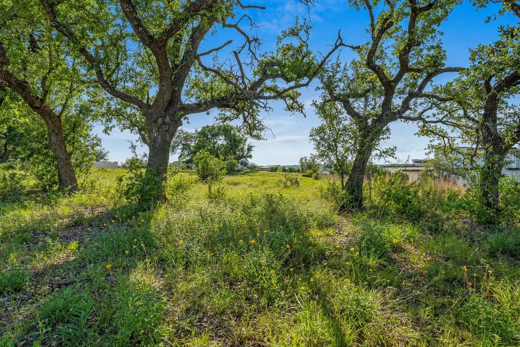 16000 Cool Breeze Cove Austin TX 78738