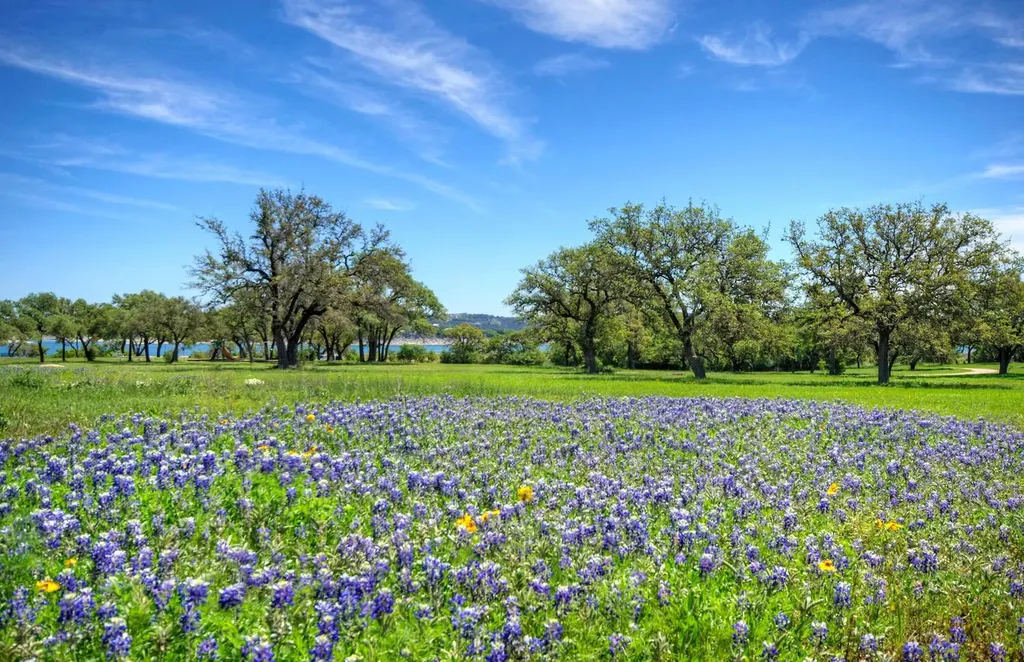 15405 Rock Creek Austin TX 78734