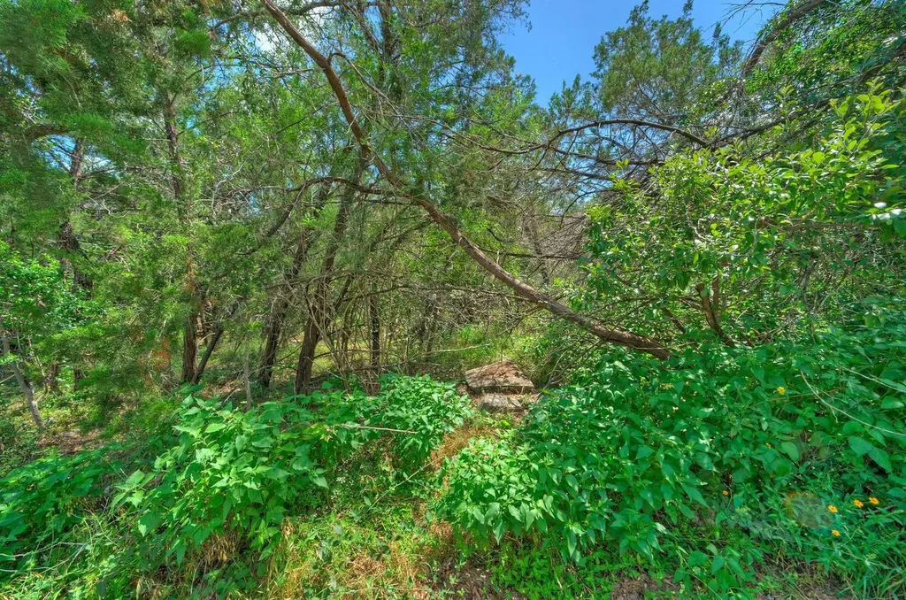 15405 Rock Creek Austin TX 78734