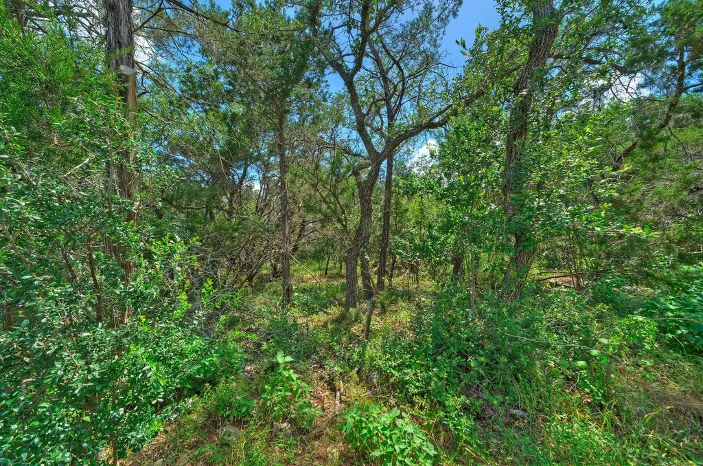 15405 Rock Creek Austin TX 78734