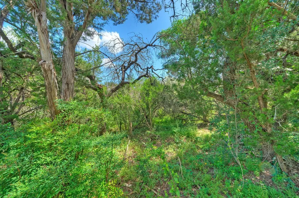 15405 Rock Creek Austin TX 78734