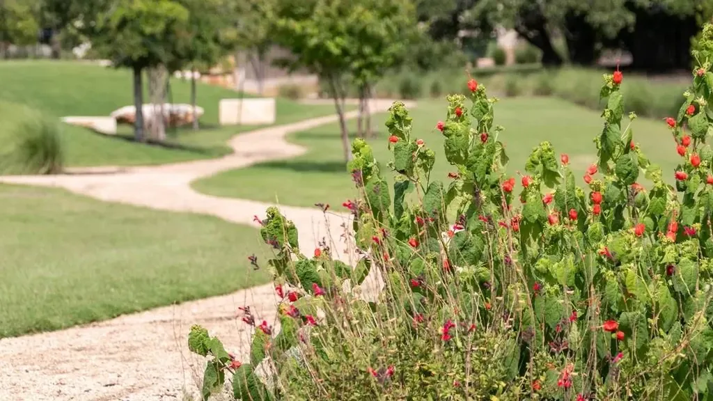 1332 Jolie Rose Bend Leander TX 78641