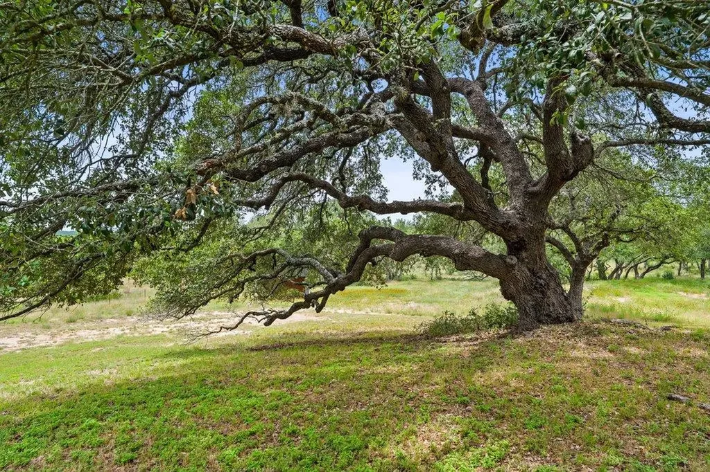 290 Sunset Ridge Dripping Springs TX 78620