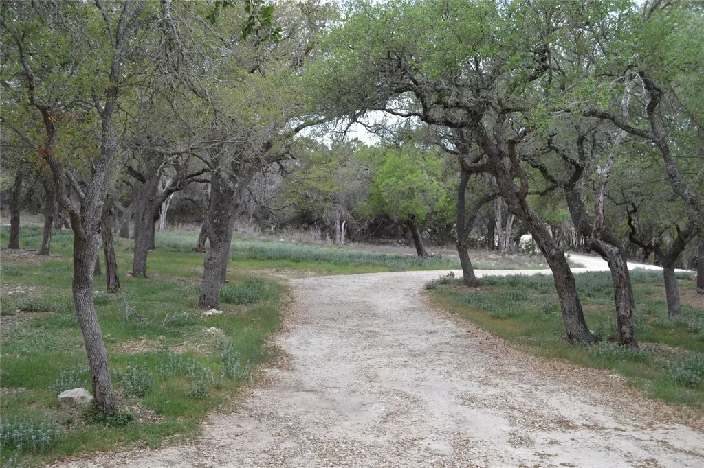 4016 Mcgregor Ln Lot 1-2 Dripping Springs TX 78620