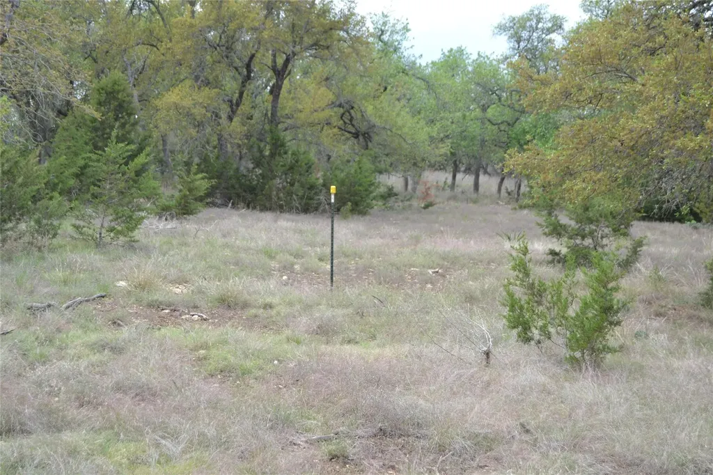 4016 Mcgregor Ln Lot 1-2 Dripping Springs TX 78620