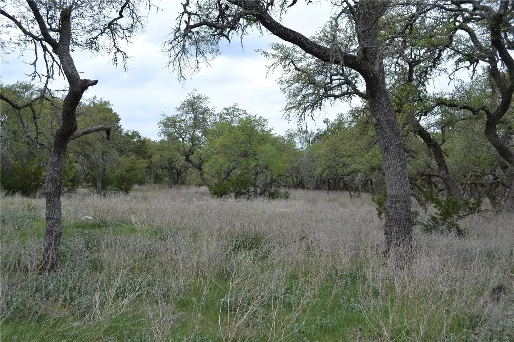 4016 Mcgregor Ln Lot 1-2 Dripping Springs TX 78620