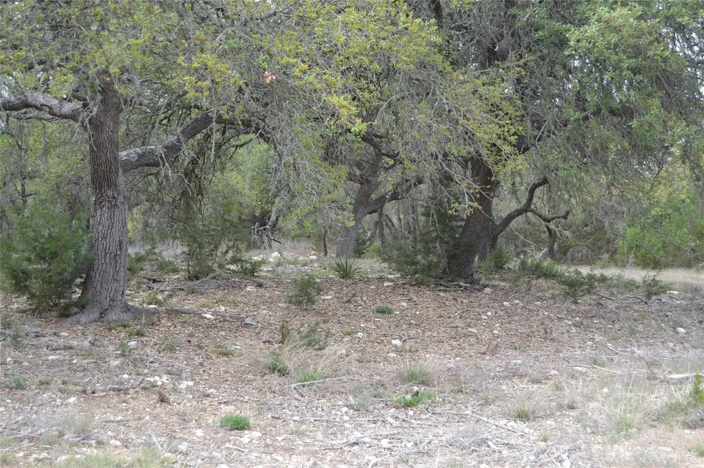 4016 Mcgregor Ln Lot 1-2 Dripping Springs TX 78620