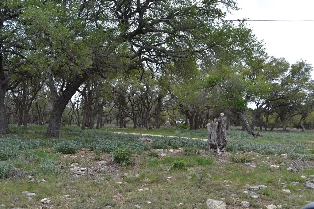 4016 Mcgregor Ln Lot 1-2 Dripping Springs TX 78620