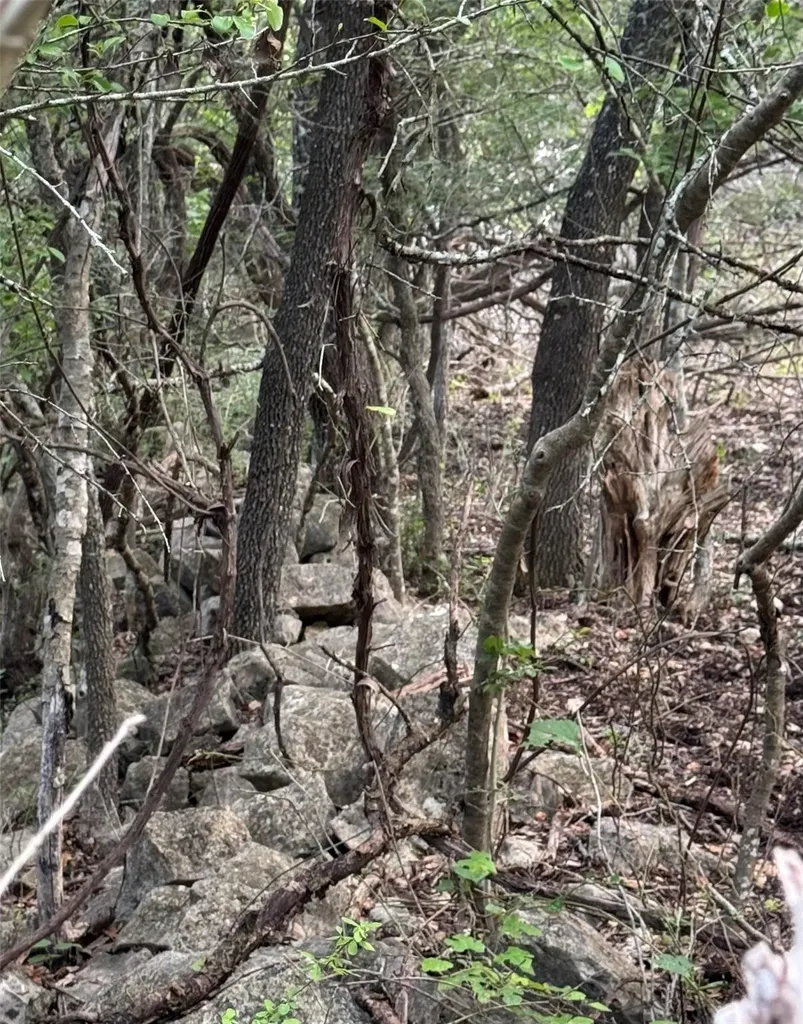 0000 Round Mountain Road Leander TX 78641