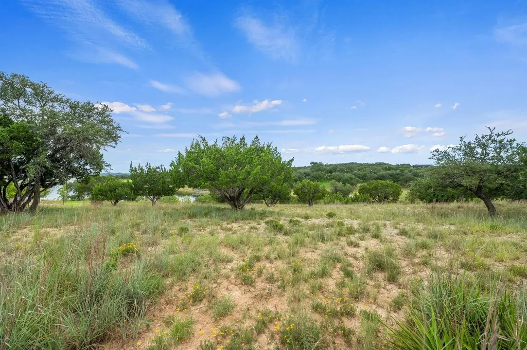 1901 Valentino Cove Spicewood TX 78669