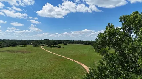 13541 E Us Hwy 79 (+/-29 Acres) Gause TX 77857