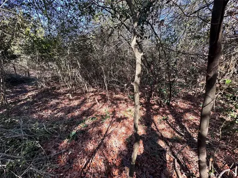 Lot 1 Alta Vista Drive Bastrop TX 78602
