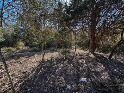 Lot 1 Alta Vista Drive Bastrop TX 78602