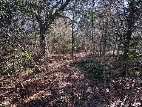 Lot 1 Alta Vista Drive Bastrop TX 78602