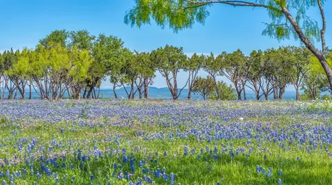 3531 Rm-3347 Round Mountain TX 78663