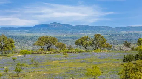 3531 Rm-3347 Round Mountain TX 78663