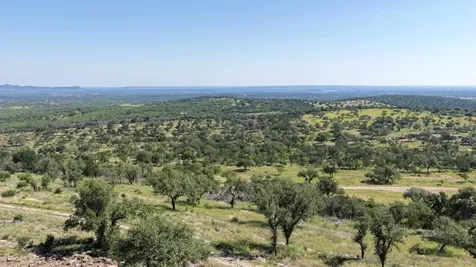 3531 Rm-3347 Round Mountain TX 78663