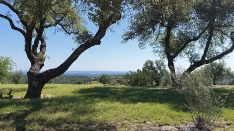 3531 Rm-3347 Round Mountain TX 78663