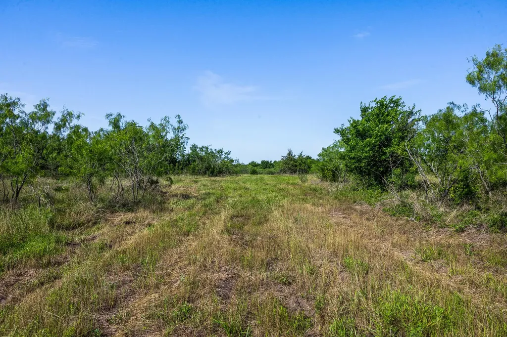 Tract 3 Tbd Lcr 392 Groesbeck TX 76642