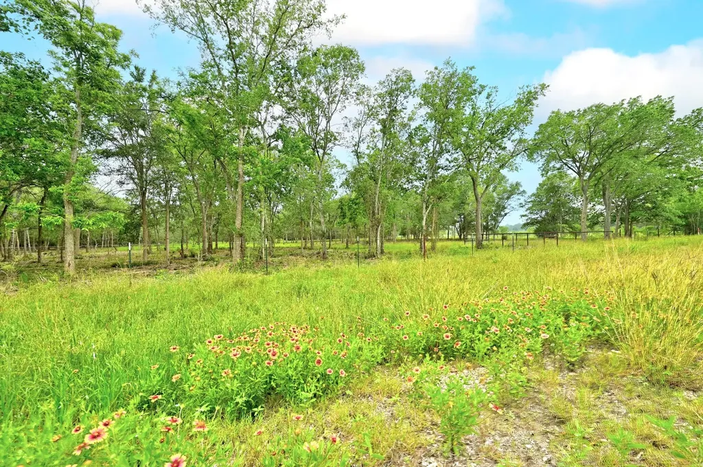 Tbd Fm 20 Lockhart TX 78644