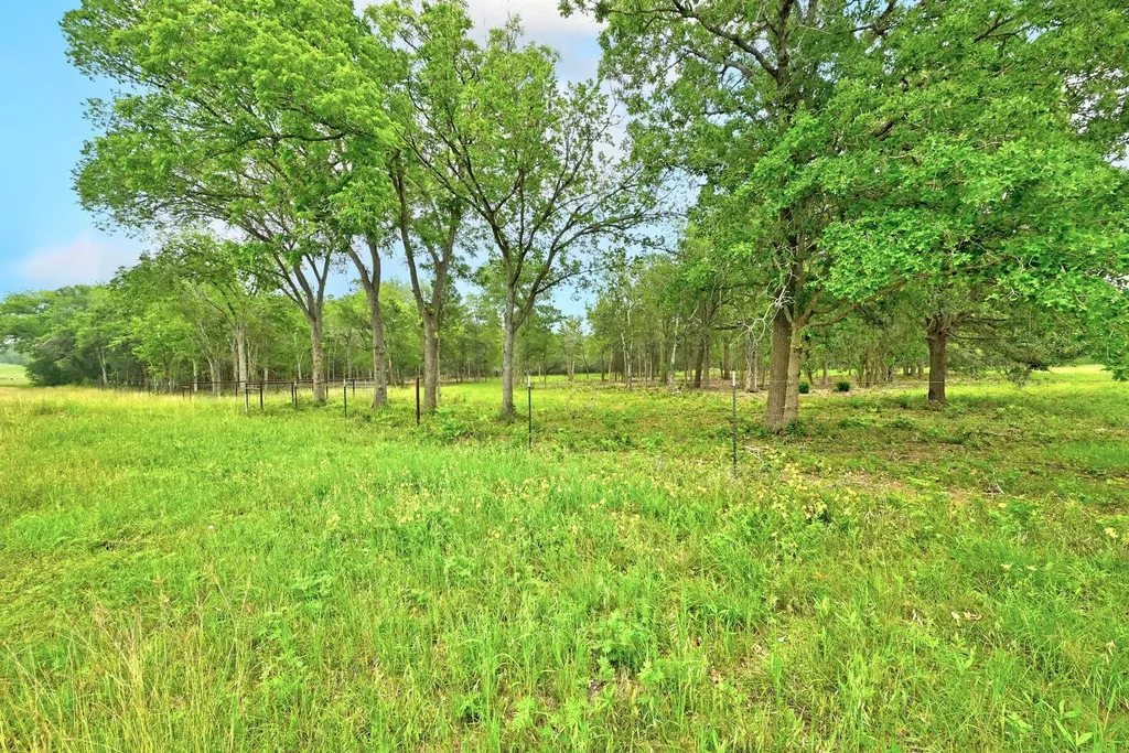 Tbd Fm 20 Lockhart TX 78644
