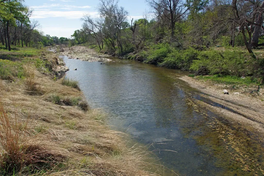 Tbd County Road 207 Liberty Hill TX 78642