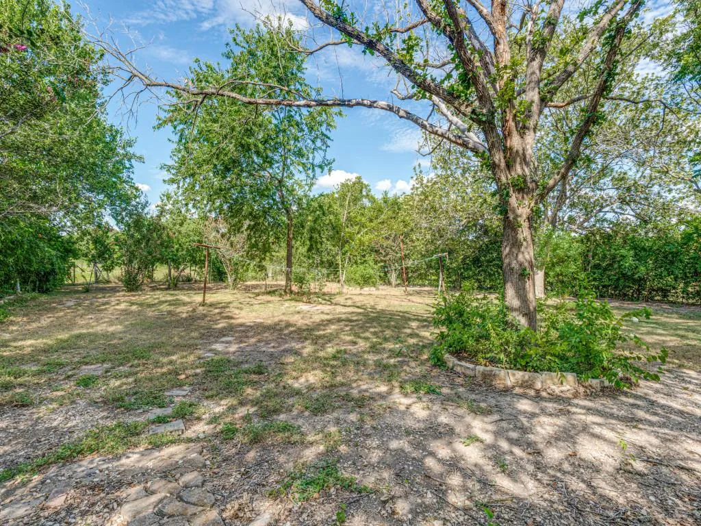 1035 Palomino Road Kyle TX 78640