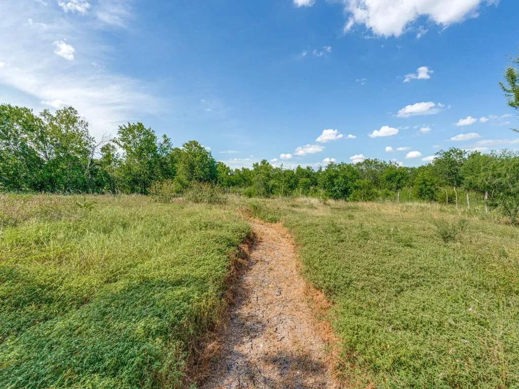 1035 Palomino Road Kyle TX 78640
