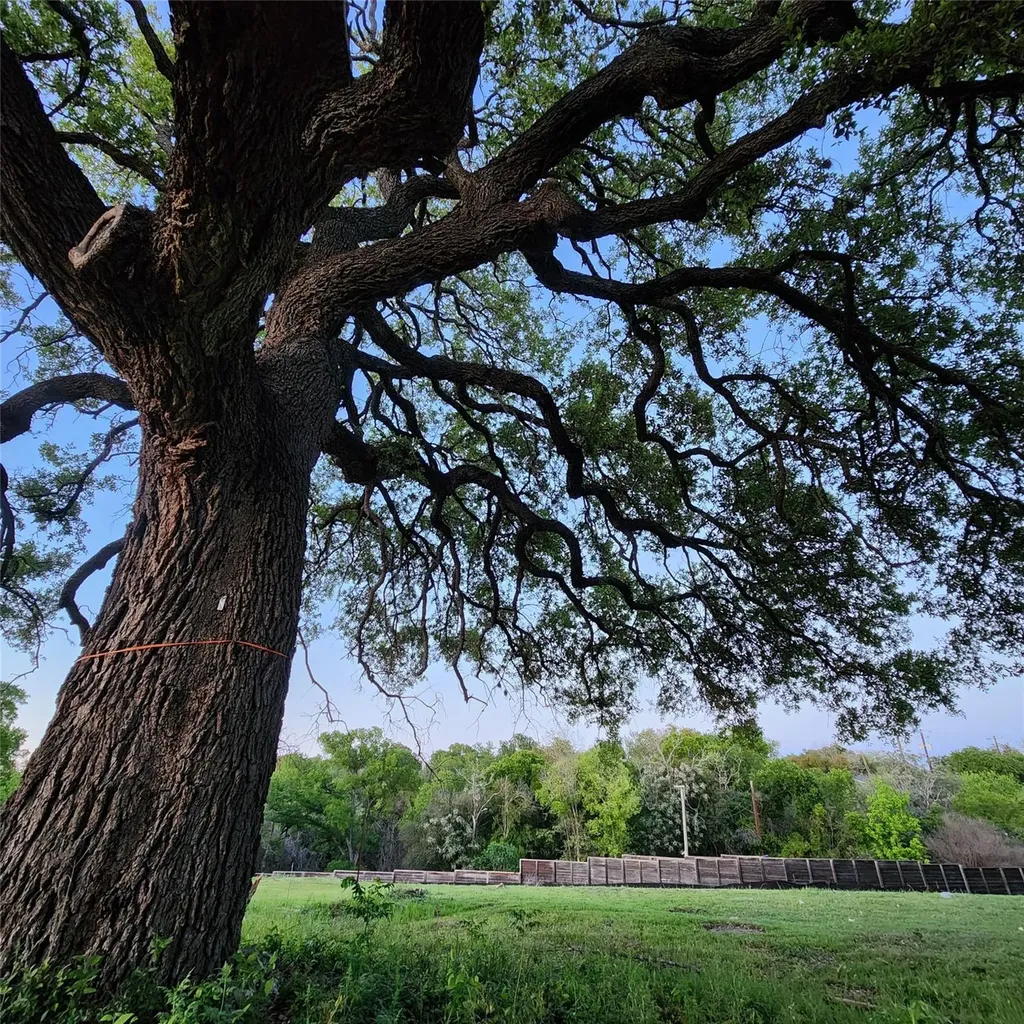 701 Montgomery Street Georgetown TX 78626