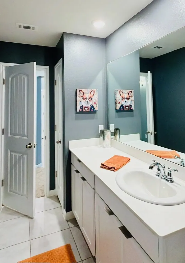 1005 Sundrops Street Leander TX 78641