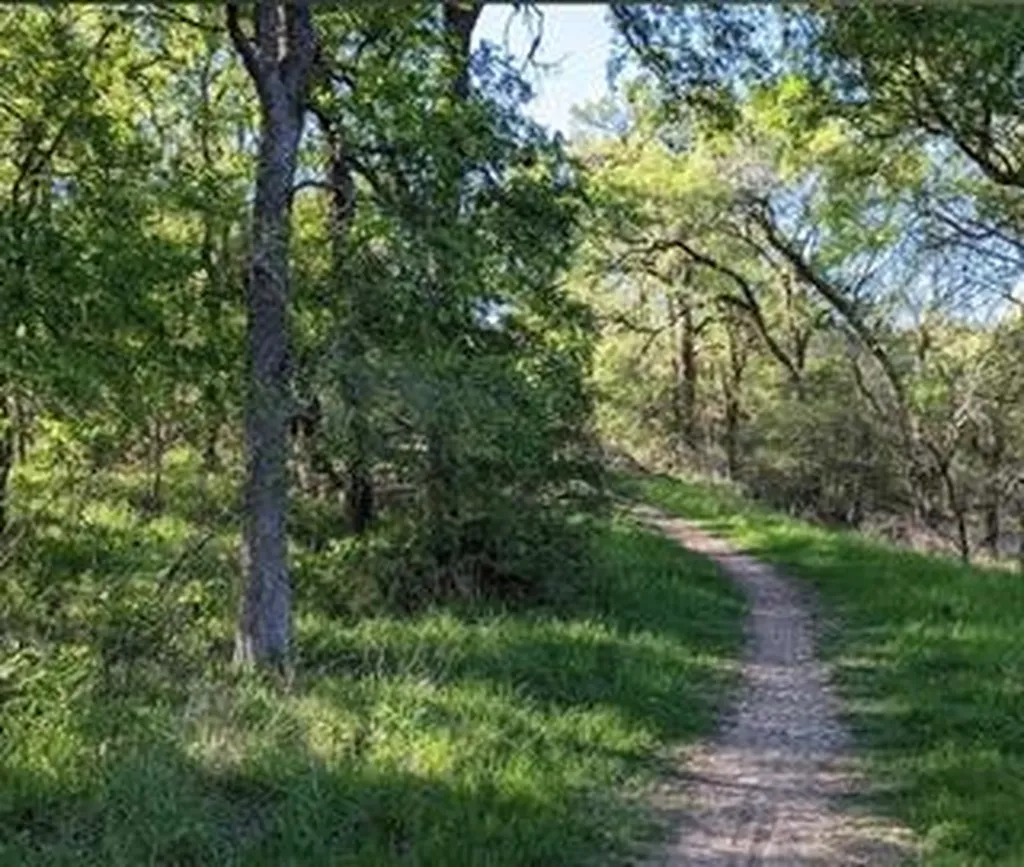 2906 Garvey Cove Austin TX 78748