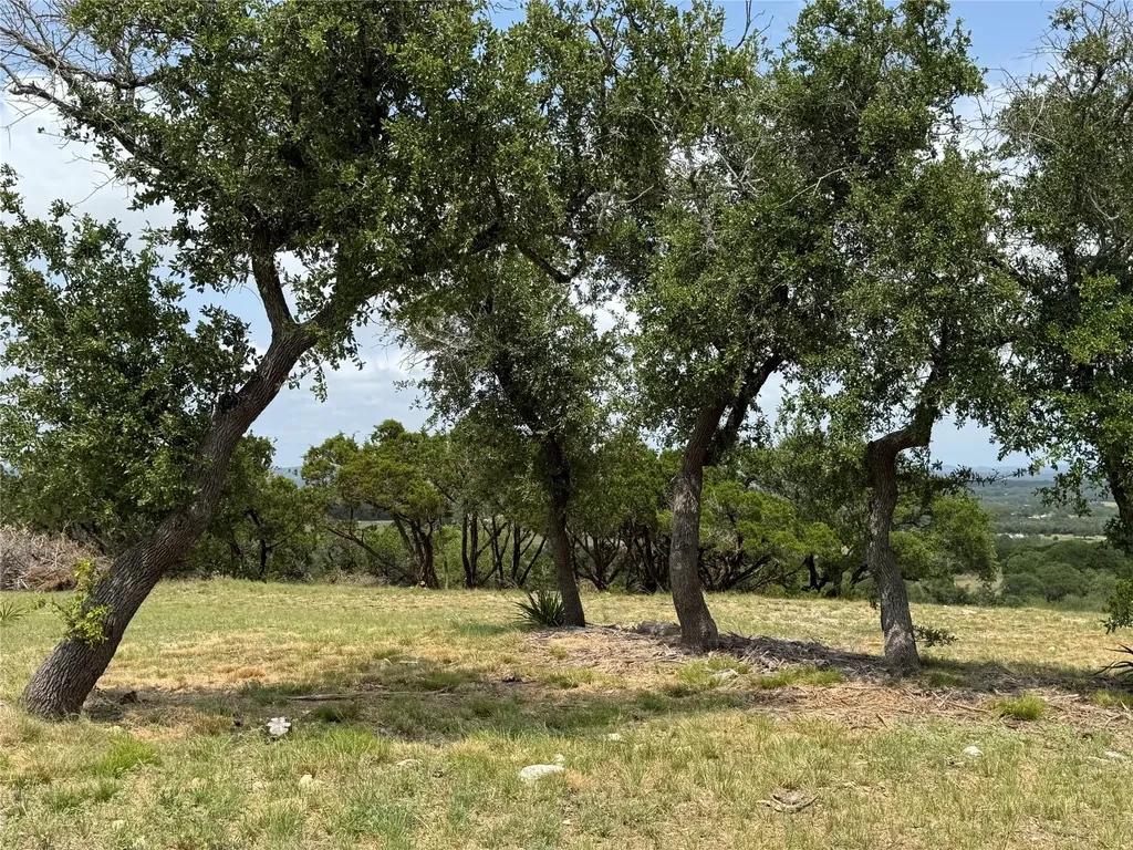 Lot 97 Big Sky Court Blanco TX 78606