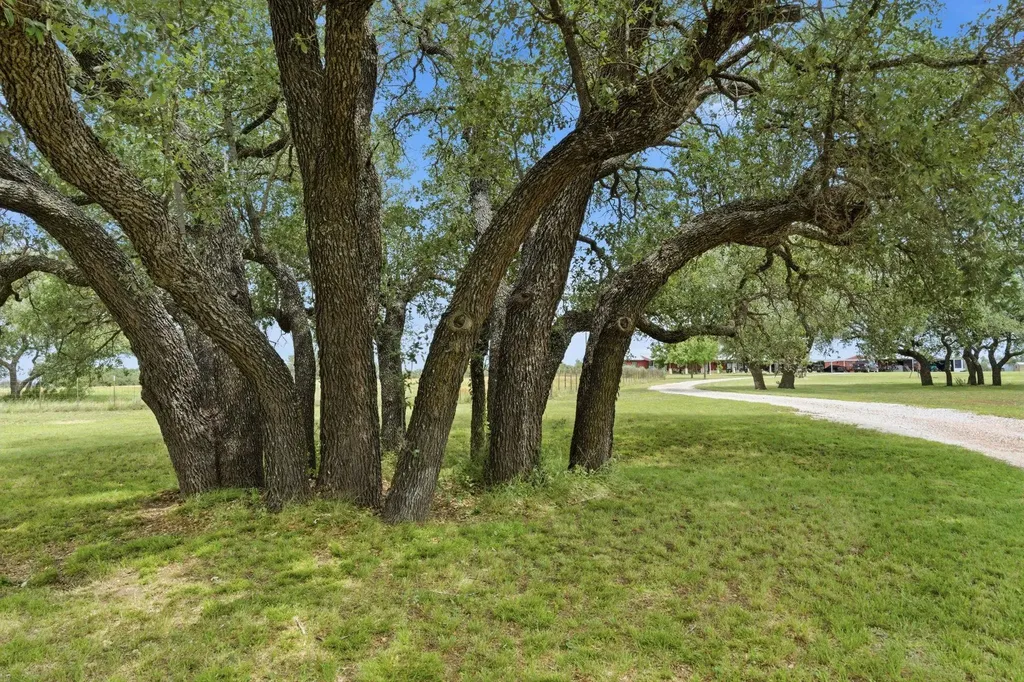 1360 Us Highway 84 Highway W Mullin TX 76864