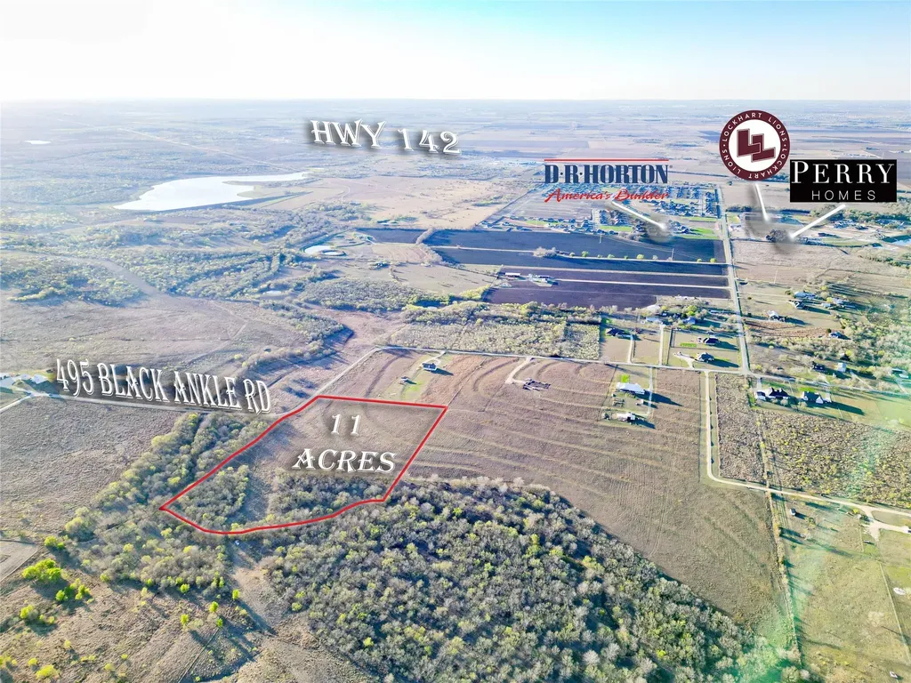 495 Black Ankle Road Lockhart TX 78644