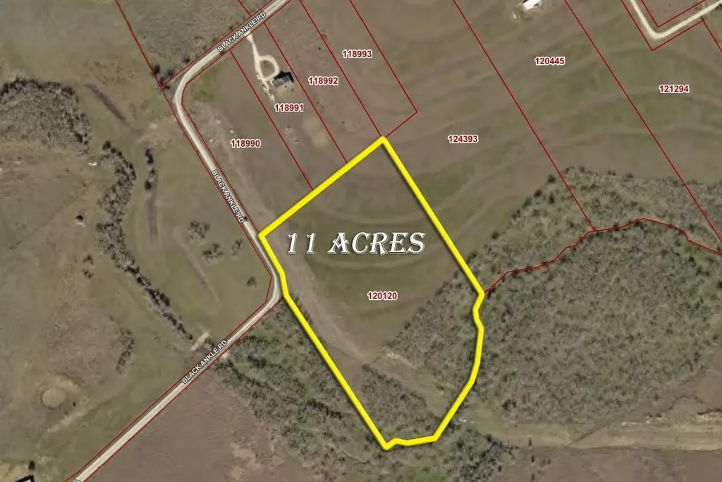 495 Black Ankle Road Lockhart TX 78644